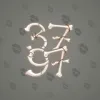 Big Year #27243