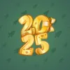 Big Year #28772