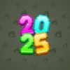 Big Year #3034