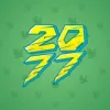 Big Year #3292