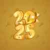 Big Year #33485
