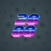 Big Year #37691