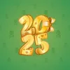 Big Year #45732