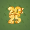 Big Year #46243