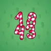 Big Year #46588