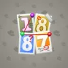 Big Year #48523