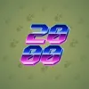 Big Year #8989