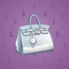 Loot Bag #10843