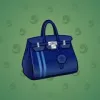 Loot Bag #13916
