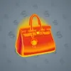 Loot Bag #8785
