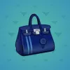 Loot Bag #9171