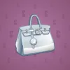 Loot Bag #9476