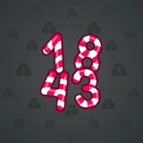 Big Year #1295 Big Year #1295