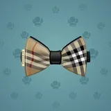 Bow Tie #1398
