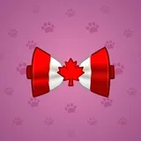 Bow Tie #1674 Bow Tie #1674