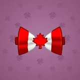 Bow Tie #2493 Bow Tie #2493