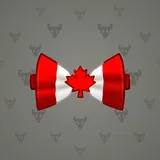 Bow Tie #2509