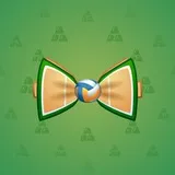Bow Tie #312 Bow Tie #312