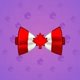 Bow Tie #3251