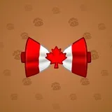 Bow Tie #3418