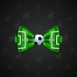 Bow Tie #3421 Bow Tie #3421
