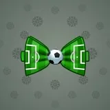 Bow Tie #527