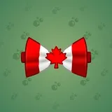 Bow Tie #898 Bow Tie #898