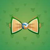 Bow Tie #910 Bow Tie #910