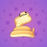 Pet Snake #1157 Pet Snake #1157