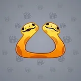 Pet Snake #1932