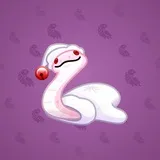 Pet Snake #2215 Pet Snake #2215
