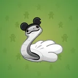 Pet Snake #2562 Pet Snake #2562