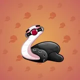 Pet Snake #2761 Pet Snake #2761
