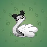Pet Snake #3263