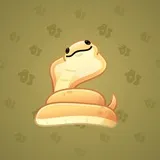 Pet Snake #3448 Pet Snake #3448