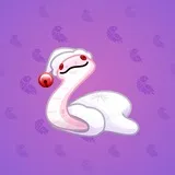 Pet Snake #3633 Pet Snake #3633