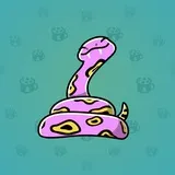 Pet Snake #3773 Pet Snake #3773