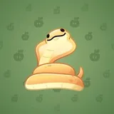 Pet Snake #3877 Pet Snake #3877