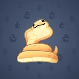 Pet Snake #4077 Pet Snake #4077