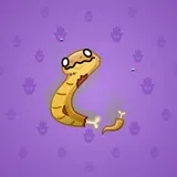 Pet Snake #426 Pet Snake #426