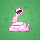 Pet Snake #4684 Pet Snake #4684