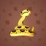 Pet Snake #4999