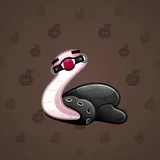 Pet Snake #6917