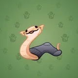 Pet Snake #6947