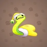 Pet Snake #7531 Pet Snake #7531