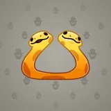 Pet Snake #797 Pet Snake #797