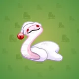 Pet Snake #8117