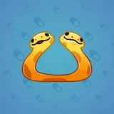 Pet Snake #8231 Pet Snake #8231