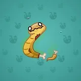 Pet Snake #8271