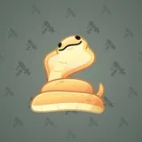 Pet Snake #8412